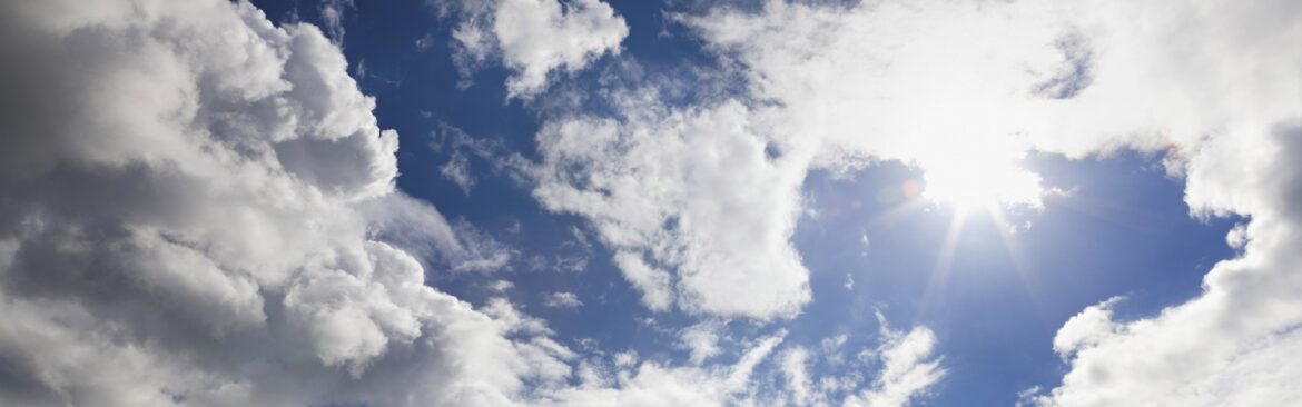 Businesses across Asia Pacific and Japan (APJ) are creating new value from cloud innovations with SAP.